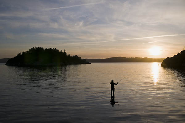 Solnedgång. Mitt ute i vattnet står en person och fiskar med ett flugfiskespö. Längre ut syns skogbeväxta öar.
