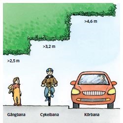 Illustrativ bild av den fria höjd för uthängande växtlighet som krävs för olika trafikanter
