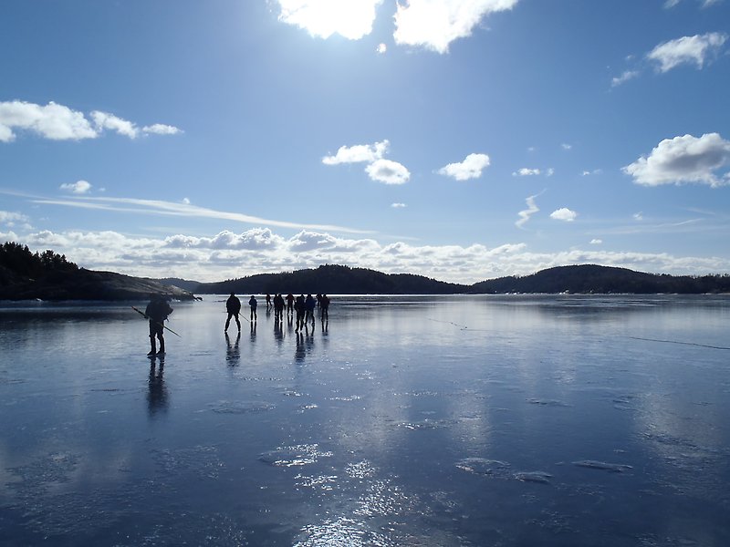 På en klar is åker en grupp personer långfärdsskridskor.