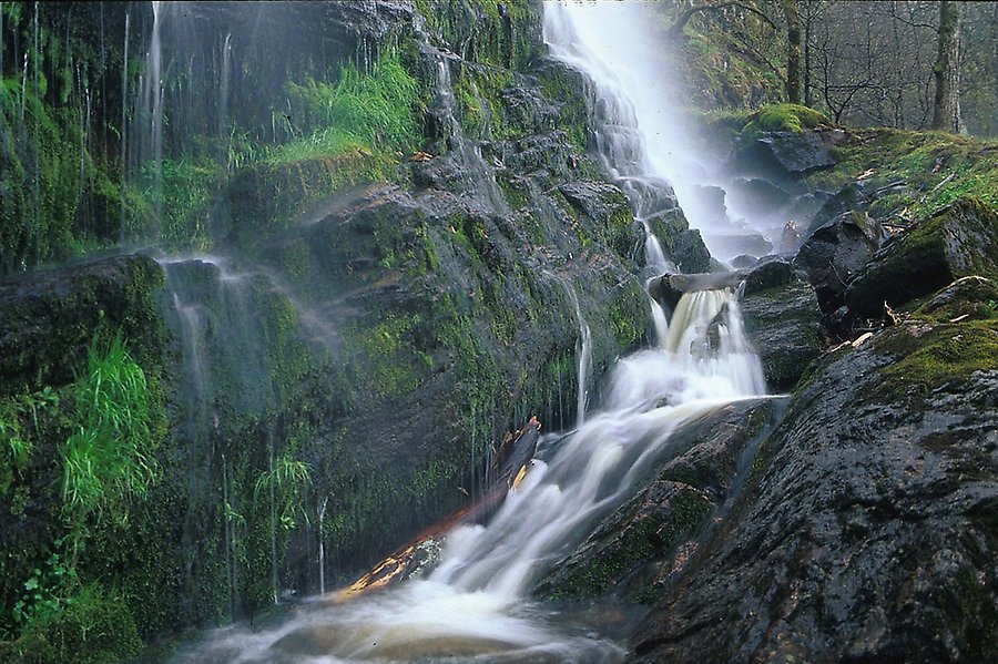Mot svarta klippor med grönmossa och mindre buskar faller ett mindre vattenfall.