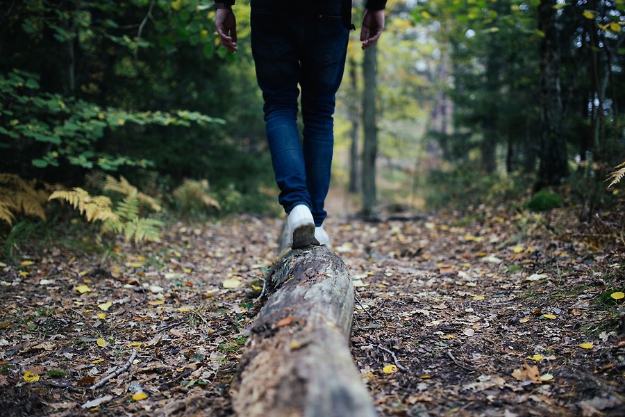 Foto på en persons ben som går på en stock på en stig i skogen.