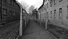 Svartvitt fotografi på koncentrationslägret Auschwitz. På fotot syns tegelbyggnader och gångar omgärdade av höga taggtrådsstängsel.