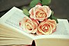 En uppslagen bok med tre persikofärgade rosor som ligger mitt i boken.