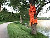 Foto på ett träd med en klunga av orange fågelholkar på. Till höger går en promenadväg.