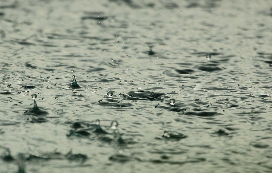 regndroppar i vatten