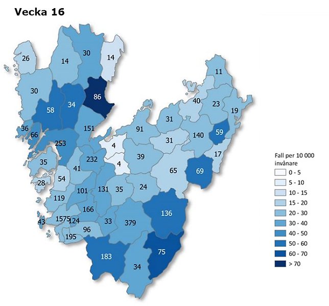 Kartbild vecka 16 över Västra Götaland som visar antal rapporterade smittfall med covid-19 per kommun (siffror) - samt antal fall per 10 000 invånare (färgskala).