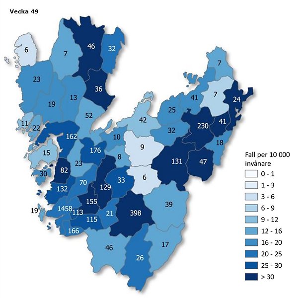 Kartbild vecka 49 över Västra Götaland som visar antal rapporterade smittfall med covid-19 per kommun (siffror) - samt antal fall per 10 000 invånare (färgskala).