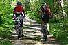Två personer som cyklar på en skogsväg