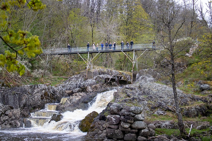 Personer som står på en hängbro över ett vattenfall