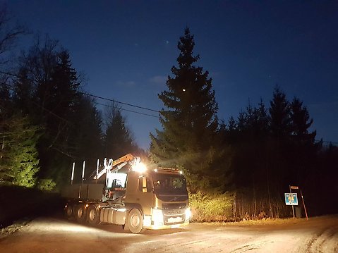 En lastbil är ute i skogen en tidig morgon innan solen är uppe och ska ta ned en stor gran.