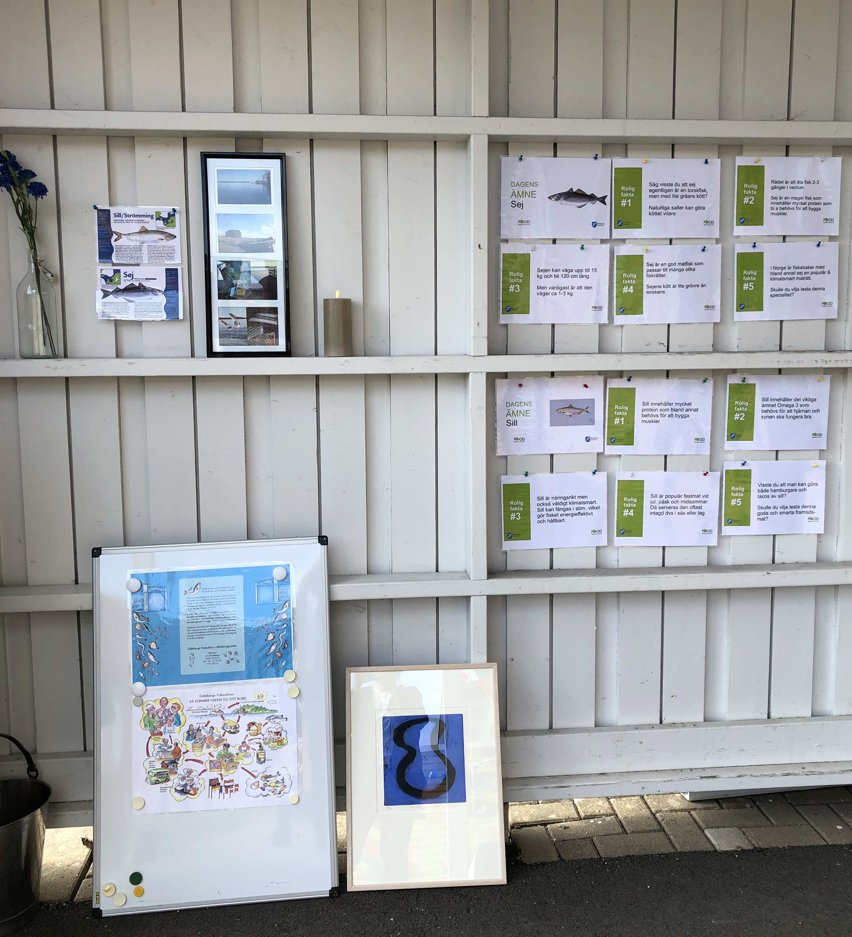 Mot en plankvägg i vitt sitter flera informationslappar om mat uppsatta.