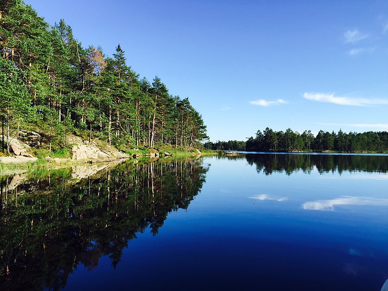 Bild på insjö och strandkant med granskog en solig sommardag.