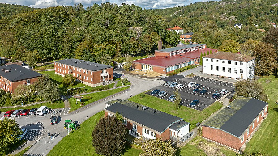 Flygbild över Kunskapens Hus.