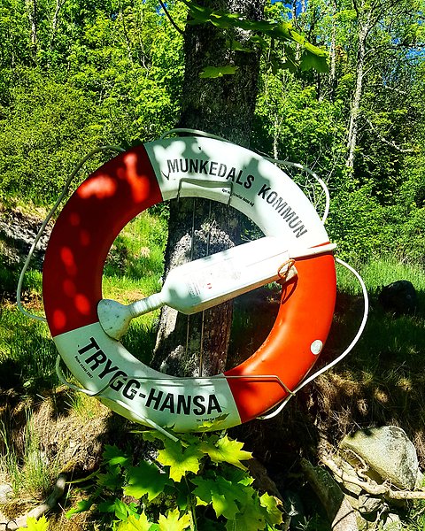 En röd och vit livboj hänger på ett träd omgivet av grönska och solsken.