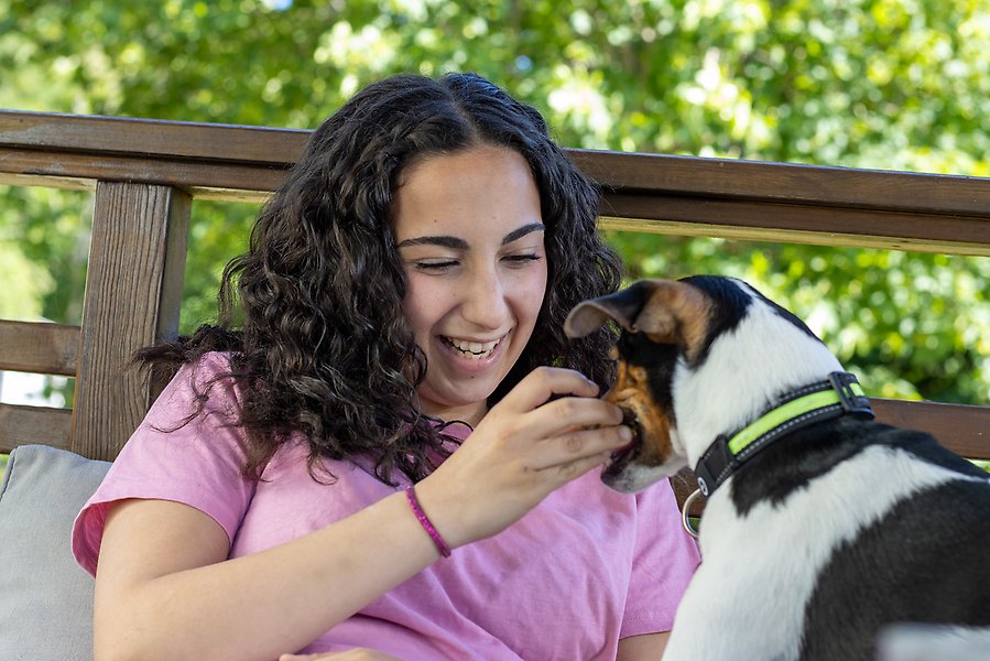 En person leker med en hund