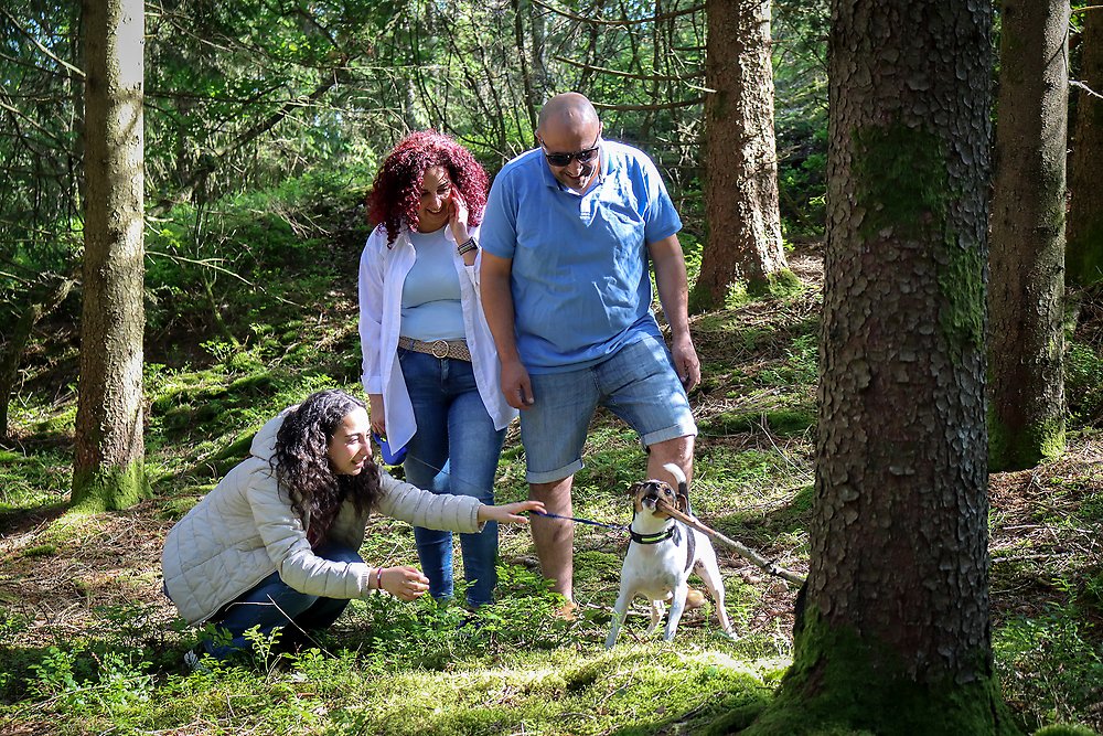 Tre personer leker med en hund i skogen