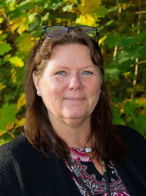 Åsa Karlsson, kommunalråd
